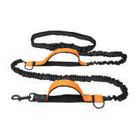 Reflective Tape Puppy Jogging Chain Outdoor Leash Walking Elastic Traction Rope Harnesses Waist Sports For Running Dog