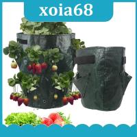 xoia68 Shop 5 7 10 Gallon PE Strawberry Planter Grow Bags Potato Pot Gardening Pots Flower Veg Tomato Planting Tools Container