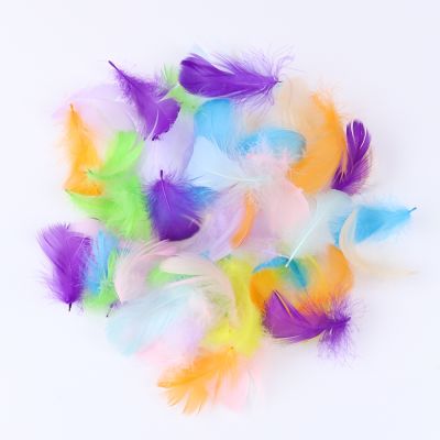 100PCS Feathers Jewelry Making Decoration Accessory Small Dyed Plumes Crafts 5-8