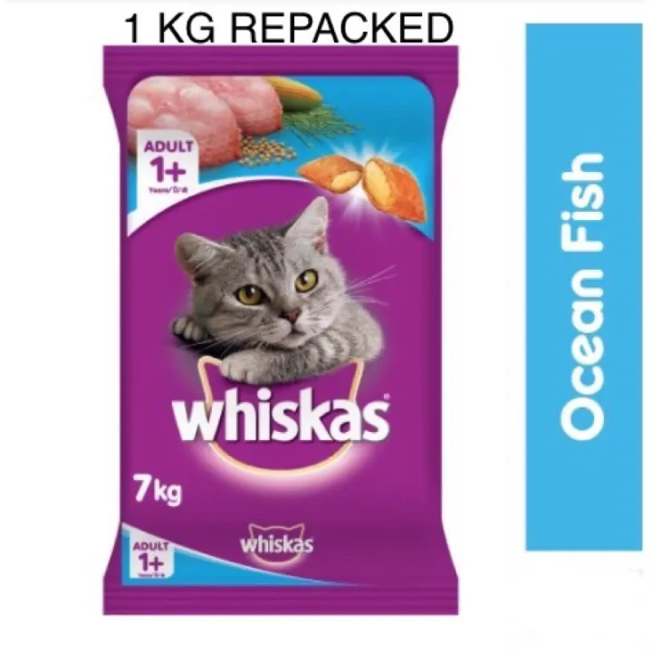 Whiskas Kitten & Adult Dry Food 1 kg Lazada PH