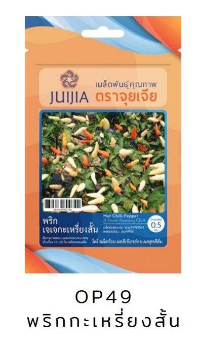 เมล็ดพันธ์ุผักสวนครัว-ชุด7-หมดอายุปี-2567-ถุงซิบล๊อค-เมล็ดพันธุ์-เมล็ดผัก-เมล็ดพันธุ์ผัก-เมล็ดดอกไม้-เมล็ดพันธุ์ดอกไม้-เมล็ดผักสวนครั