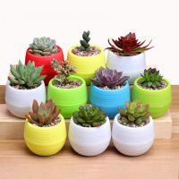 【YF】✻☂❦  Plastic Drainage Hole Egg Pot Flowerpot Office Garden