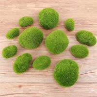 【DT】hot！ 12 Pcs Moss Stone Decoration for Aquariums and Glass Jar Terrarium