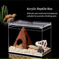 อะคริลิคใสสัตว์เลื้อยคลาน Breeding Spider Lizard Amphibian Terrarium Leak-Proof Habitat Arboreal Tarantula Enclosure