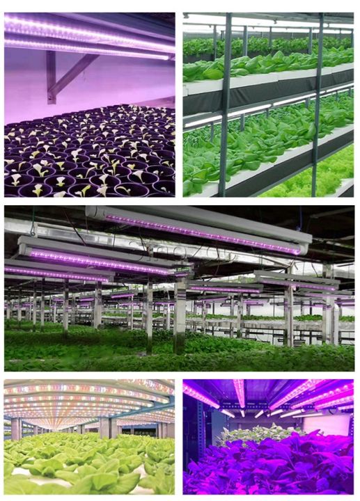 growsmart-ชุดหลอดไฟ-led-t8-grow-light-36w-full-spectrum-90cm-120cm-ไฟปลูกต้นไม้-ไฟเพาะต้นอ่อน-clone-led-light-led-grow-tube-for-indoor-plant-led-tube-ไฟแคคตัส-ไฟปลูกพืช