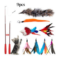 【Dream】9Pcs Pet Cat Kitten Teaser Bell Feather Rat Replacement Head Funny Play Toy