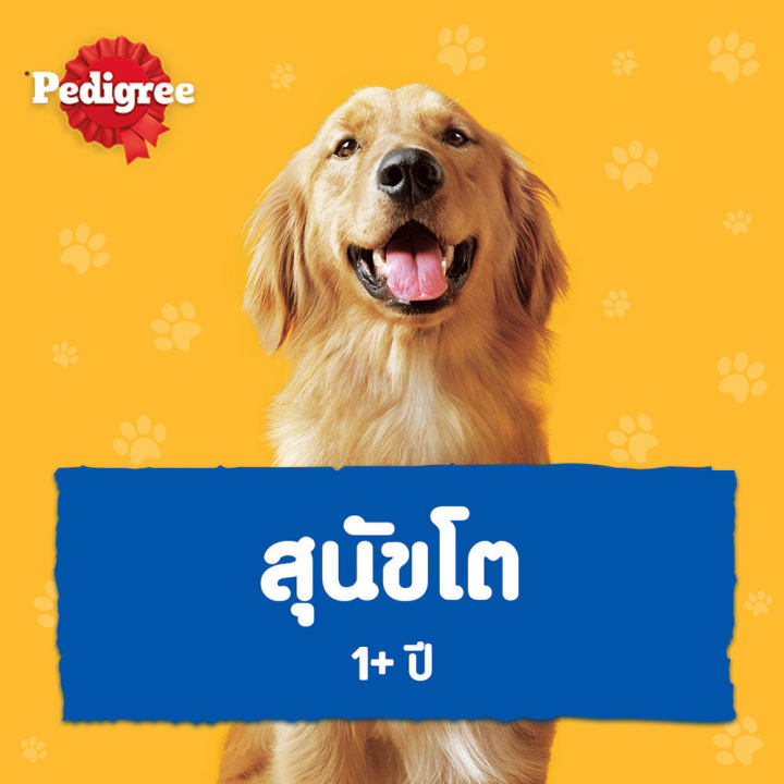 ส่งฟรี-ขายดี-pedigree-เพดดิกรี-อาหารสุนัข-แบบกระป๋อง-อาหารเปียกสุนัข-แพ็ก-24-400-ก