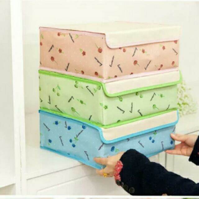 2 in 1 Foldable Collapsible Underwear Storage Bra Panties Organizer Box