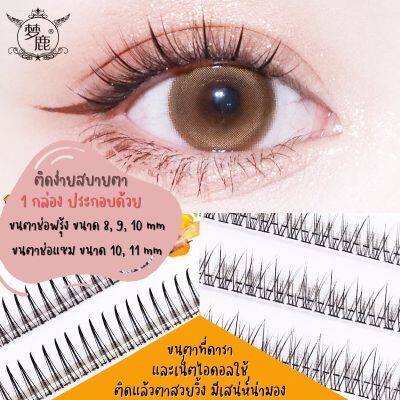 (มี Vdo สอนติด) ขนตาปลอมแบบช่อ ติดง่าย ขนตาปลอมธรรมชาติ ขนตาปลอมดารา ขนตาปลอมเน็ตไอดอล