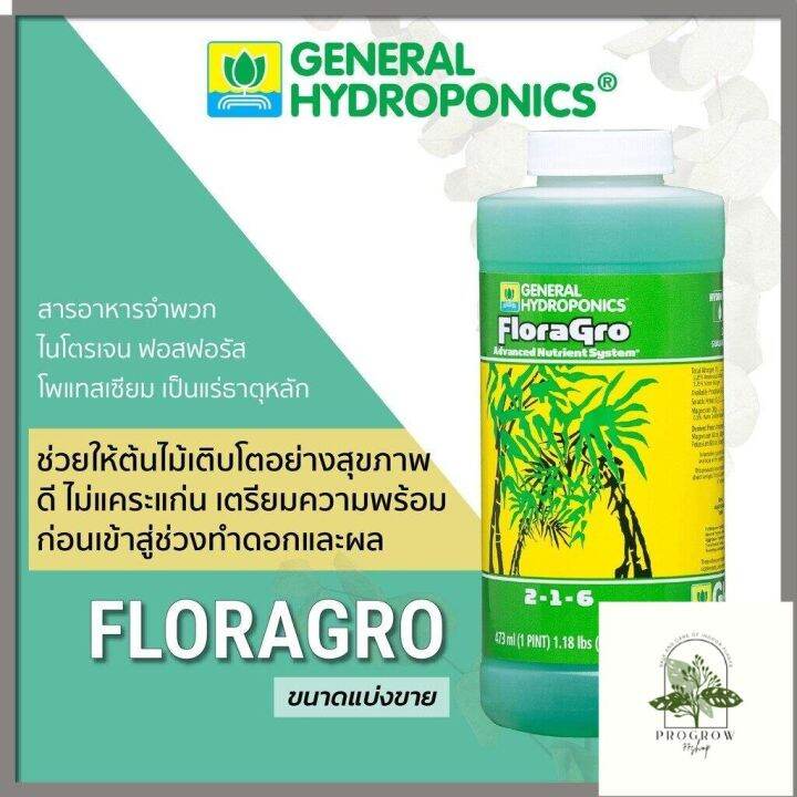 ready-stock-general-hydroponic-floral-series-set-เซ็ทพื้นฐาน-3-ขวด-ยอดนิยม-ปุ๋ยนอก-ปุ๋ยนำเข้า-ปุ๋ยเมกา-ปุ๋ยusaมีบริการเก็บเงินปลายทาง