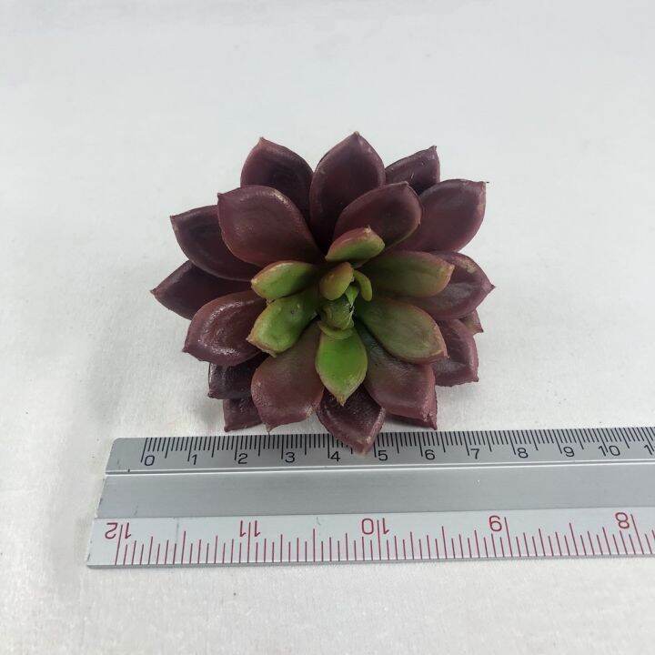 คุณภาพดี-พืชปลอม-echeveria-head-เฉพาะหัว-ไม่รวมกระถาง-r-005-bur-ต้นไม้ปลอม-สำหรับประดับตกแต่งสวนจิ๋ว-สวนขวดแก้ว-สวนถาด-รหัสสินค้า-6036