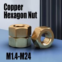 1-20PCS Copper Hexagon Nut M1.4 M1.6 M2 M2.5 M3 M4 M5 M6 M8 M10 M12 M14 M16 M18 M20 M22 M24 Brass Hex Nut Fastener