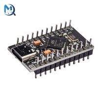 Type-C MINI USB Pro Micro สําหรับ Arduino ATmega32U4 โมดูล 5V / 16MHz พร้อมส่วนหัวพิน 2 แถวสําหรับ Leonardo Usb Interface Board