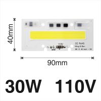 【┋】 Correct Engineering Service Limited ชิป LED พลังงานสูง IP65 30W 50W 70W 100W 150W 220V 110V โคมไฟลูกปัดหลอดไฟชิปสำหรับสปอตไลท์ฟลัดไลท์ DIY ไม่จำเป็นต้องใช้ไดรเวอร์