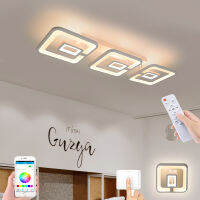 Modern corridor LED lamp bedroom wall lamp balcony ceiling lights cloakroom lamp APP smart remote control dimming lamp