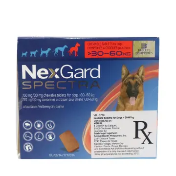 Nexgard spectra hot sale xl dog