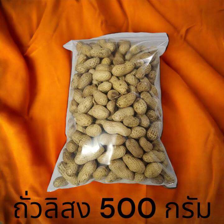 ถั่วลิสงอบแห้ง เปลือก และเมล็ดสะอาด ปลอดภัย500กรัม สำหรับ นก กระรอก 