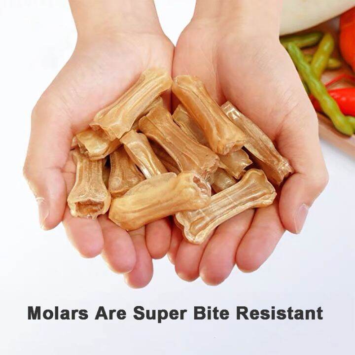 【CASSIEL PET】Dog Food & Treats Teeth Stick Dog Chews Toys Molar Healthy