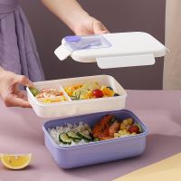 Premium Lunch Box Fruits Food Containers Student Office Worker Microwavable Bento Box With Fork Spoon Fresh-Keeping