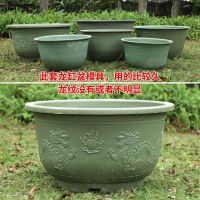 [COD] Plastic round flowerpot super extra large size with holes and no chassis garden tree planting thickened resin dragon cylinder glue basin