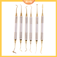 Aleaty? 6pcs/Kit dental COMPOSITE เรซินไส้ไม้พายซ่อมเครื่องมือไทเทเนียมชุบ