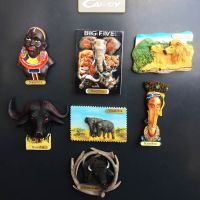 Africa Namibia Tourist Fridge Magnet Souvenir Creative 3D Resin Refrigerator Magnets for Kitchen Accessories Decoration Home