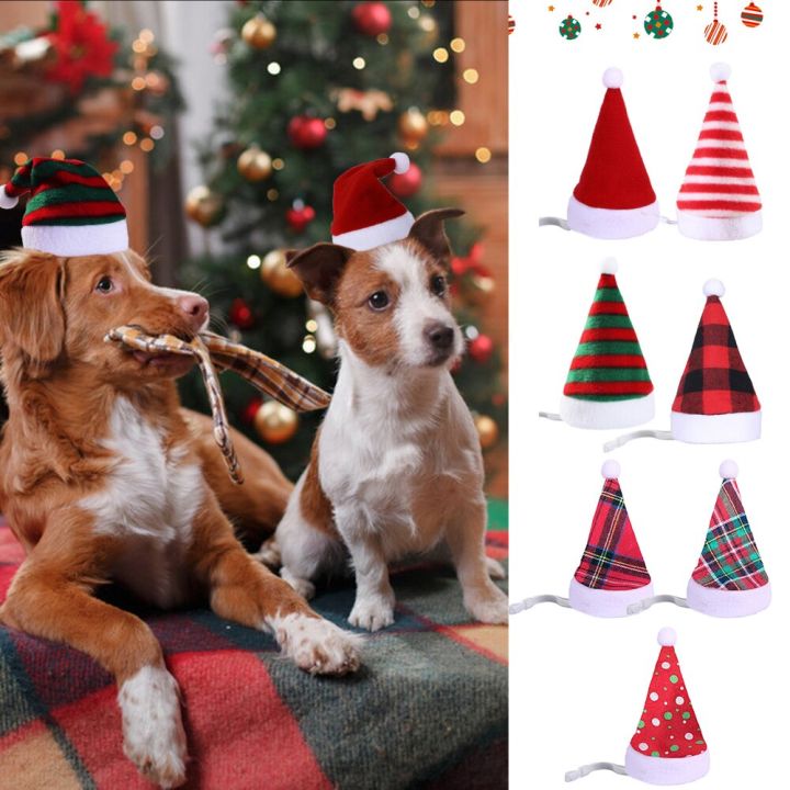 ZZOOI Cute Pet Christmas Hat Dog Cat Headwear Party Headpiece ...