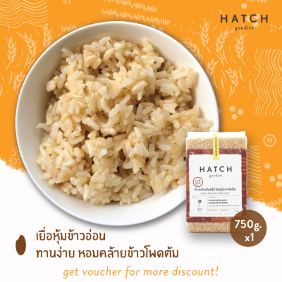 HATCH goodies ข้าวกล้องออร์แกนิค พันธุ์ปะกาอำปึล Organic Brown Rice "Paka Umpul" - Refill Vacuum Pack (750g)