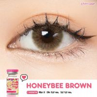 คอนแทคเลนส์ Kitty Kawaii Honeybee(Gray,Brown) ค่าสายตา 0.00 ถึง -10.00