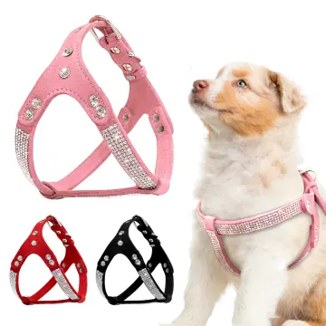 Rhinestone Dog Collar and Leash Soft Suede Bow Necklace for Puppy Cat Small  Dogs