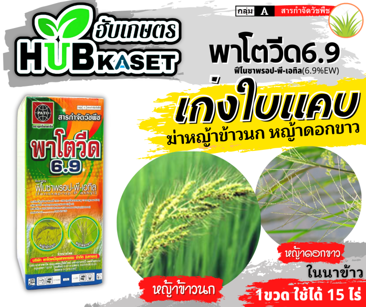 พาโตวีด6-9-1ลิตร-ฟีโนซาพรอป-พี-เอทิล-กำจัดวัชพืชประเภทใบแคบ-เช่น-หญ้าขาวนก-และหญ้าดอกขาว