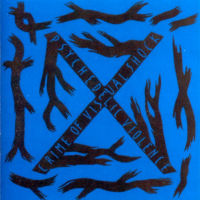 ซีดีเพลง CD X Japan [1989.04.21] BLUE BLOOD มี2แผ่น CD 1&amp;2,ในราคาพิเศษสุดเพียง259บาท