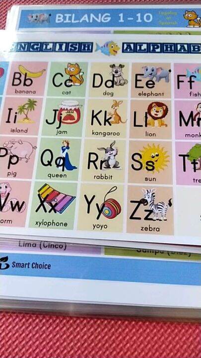 Laminated ABC Alphabet Chart and Vowels and Consonants Chart A4 Size ...
