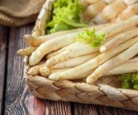 10 เมล็ดพันธุ์ หน่อไม้ฝรั่ง White Asparagus Seeds มีคู่มือพร้อมปลูก อัตรางอก 80-85%