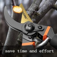 SK5 Alloy Pruning Shears, Can Be Used For Fruit Picking, Pruning Bonsai, Etc., Sharp And Wear-Resistant Garden Tools