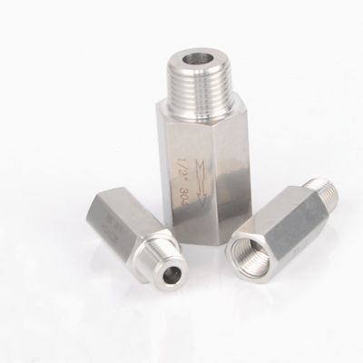 1/8 1/4 3/8 1/2 3/4 BSP Male Female Thread 304 Stainless Steel One Way Non Return Check Valve For Water Oil Gas