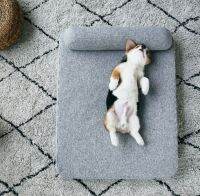 PETKIT deep sleep pet mattress ที่นอนสำหรับสัตว์เลี้ยง ที่นอนหมา ที่นอนแมว ที่นอนสัตว์เลี่้ยง