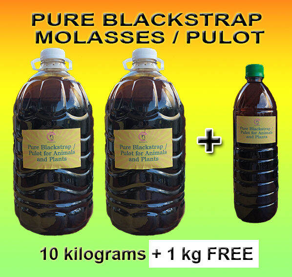 10 kg + 1 kg FREE Pure Organic Blackstrap Molasses/Pulot for Animals