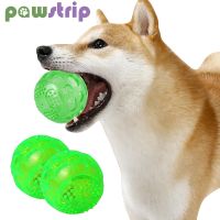 【YF】☽℗  Dog Rubber Glowing Elasticity Chewing Squeaky for Dogs Interactive Teeth Cleaning Supplies