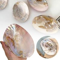 1 Pc Pearl Shell Table Tray Trinket Organizer Jewelry Storage Decorative Bathroom Cosmetic Makeup Tray for Girls Gifts Home