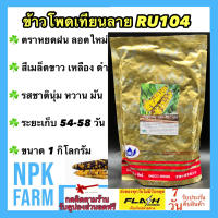 ข้าวโพดเทียนลาย RU104 ขนาด 1 กิโลกรัม เมล็ดพันธุ์ ข้าวโพดเทียน ลอตใหม่ งอกดี สี ขาว เหลือง ดำ รสชาติ นุ่ม มัน หวาน ไม่ติดฟัน ระยะเก็บ 54 วัน