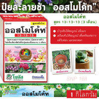 ปุ๋ยออสโมโค้ท ขนาด 1 กิโลกรัม สูตร 13-13-13 (สูตรยอดนิยม)