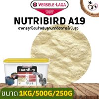 NutriBird A19 อาหารลูกป้อนสูตรไขมันสูง สำหรับลูกนกที่ต้องการไขมันสูง ฝาเหลือง (แบ่งขาย 250G / 500G / 1KG)