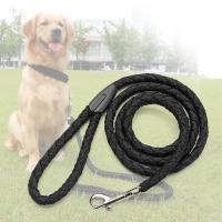 petthome Nylon Dog Leash 5ft Long Walking Dog Rope Metal Clasp Dog Chain Traction Rope for Medium Dog Training Walking Outside