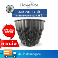 กระถางปลูกต้นไม้ Air Pot 12 นิ้ว กระถางมีรู กระถางเพิ่มรากขึ้น 2 เท่า กระถางปลูกกัญช