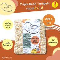 [1 กิโล]เทมเป้ถั่ว 3 สี(เหลือง ดำ แดง) (Triple bean Tempeh) ✨ เทมเป้พร้อมทาน โปรตีนสูง ขนาด 1 Kg. #เจ #อาหารเจ