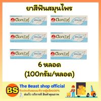 Thebeastshop_[6x100g] ดอกบัวคู่ ยาสีฟันสมุนไพร สูตรเฟรชแอนด์คูล ดูแลช่องปาก ยาสีฟันสำหรับฟันผุ ยาสีฟันรักษากลิ่นปาก