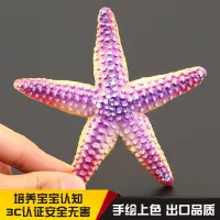 Childrens solid simulation animal toy model marine set starfish cognitive gift decoration