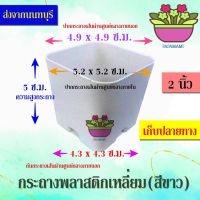 (3ใบ) papamami กระถางพลาสติก กระถางขาว เหลี่ยม 2นิ้ว กระถางปลูกต้นไม้ กระถางต้นไม้ ที่ปลูกต้นไม้ กระถางแค็คตัส กระถางปลูกตอ  กระถางกระบองเพช