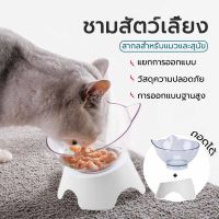 ชามอาหารแมว ที่ใส่อาหารสัตว์เลี้ยง ชามอาหารหมา ชามใส่อาหารสัตว์เลี้ยง Pet bowl ชามอาหารสัตว์เลี้ยง